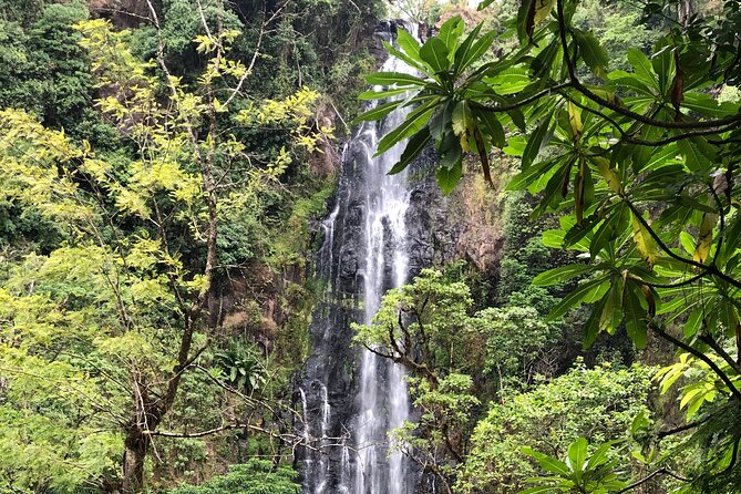 Materuni waterfalls coffee tour & Chemka hot springs Day trip - Timing reality check: plan for a long day