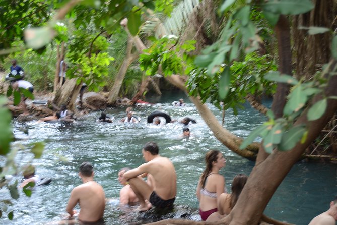 Materuni waterfalls coffee tour & Chemka hot springs Day trip - Pickup, private group, and how the trip is set up