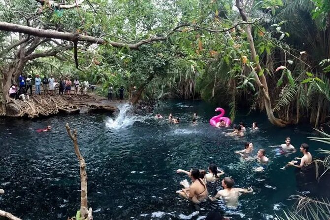 Materuni waterfalls coffee tour & Chemka hot springs Day trip - Price and value: is $95 fair for this mix?