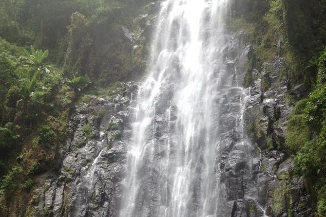 Materuni Waterfalls & Coffee Tour from Moshi - Key highlights at a glance
