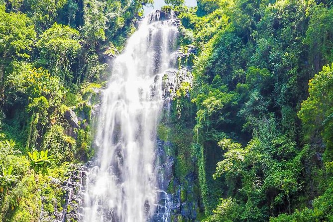 Materuni Waterfalls & Coffee Tour from Moshi - The 30-minute hike: easy steps, big views, and Kilimanjaro in reach