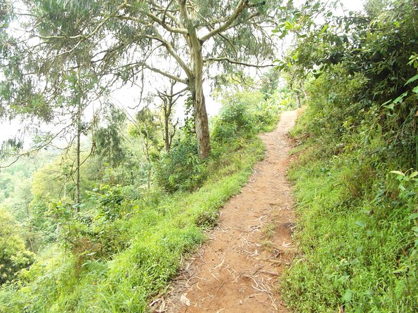 Materuni Waterfalls & Coffee Tour from Moshi - Guides and local touch: Elly and Benjamin make the day smoother