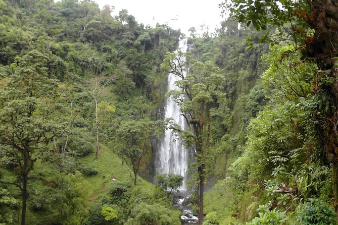 Materuni Waterfalls & Coffee Tour from Moshi - What to pack so the day feels easy