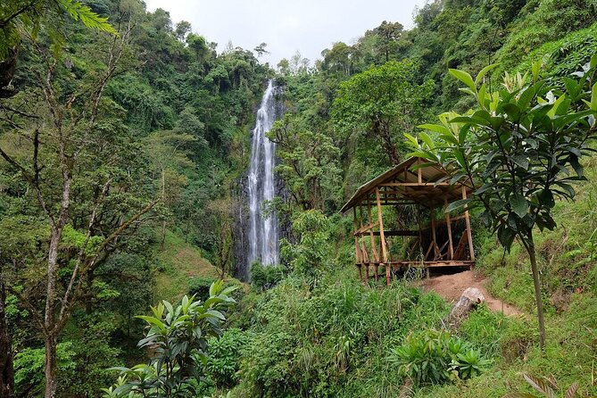 Materuni waterfalls,coffee tour & Kikuletwa(Chemka)Hot Springs - Key Highlights I’d Plan Around