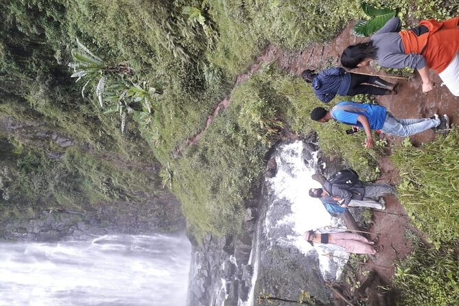 Materuni waterfalls,coffee tour & Kikuletwa(Chemka)Hot Springs - The Materuni Coffee Farm Tour: From First Plant to Your Cup