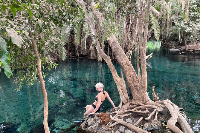 Materuni waterfalls,coffee tour & Kikuletwa(Chemka)Hot Springs - Kikuletwa (Chemka) Hot Springs: Palm Trees, Clear Water, and Blue Monkeys