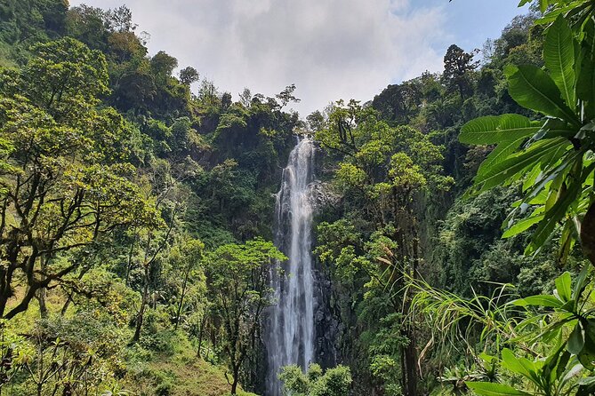 Materuni waterfalls,coffee tour & Kikuletwa(Chemka)Hot Springs - Entering Materuni Waterfalls: Rainforest Views and a Real Walk