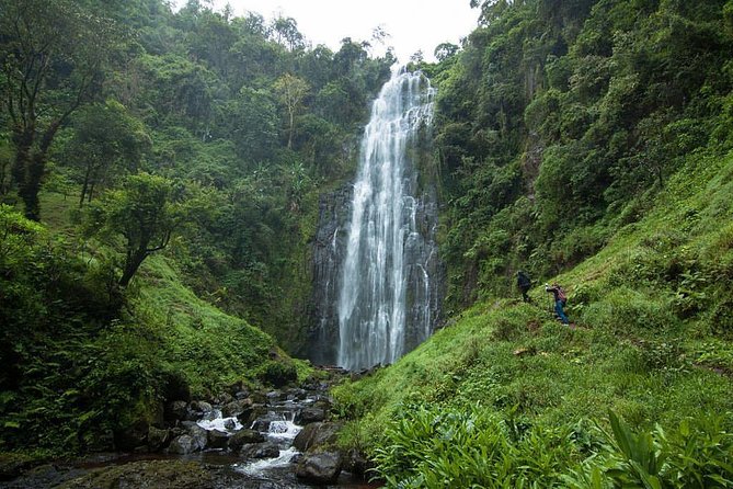 Materuni Waterfalls, coffee tour & Kikuletwa Hot Springs - Key highlights worth knowing