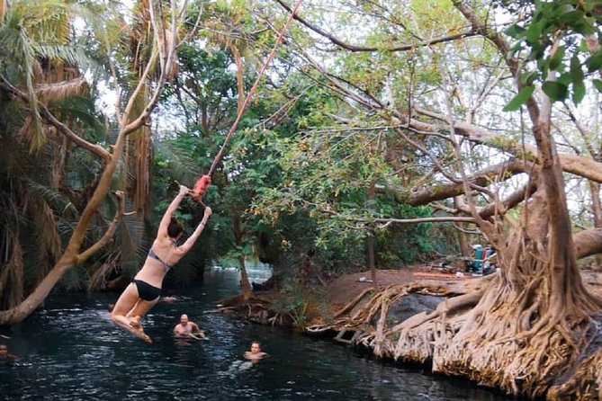 Materuni Waterfalls, coffee tour & Kikuletwa Hot Springs - Guides that make the day feel personal (and sometimes funny)