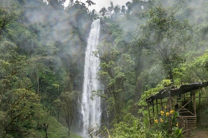 Materuni Waterfalls, coffee tour & Kikuletwa Hot Springs - Timing and transport: what a 12-hour day really feels like
