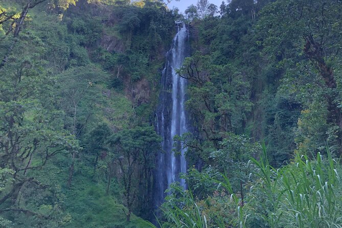 Materuni Waterfalls & Coffee Tour - The Materuni Waterfalls section: a guided hike with village context