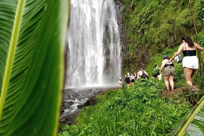 Materuni Waterfalls Hiking Tour with Coffee and Traditional Meal - Key things I think you’ll care about
