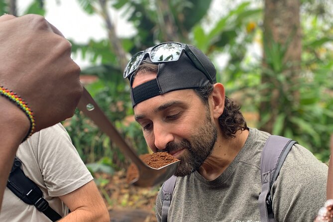 Materuni Waterfalls Hiking Tour with Coffee and Traditional Meal - Mount Kilimanjaro viewpoints, and why you should still pay attention