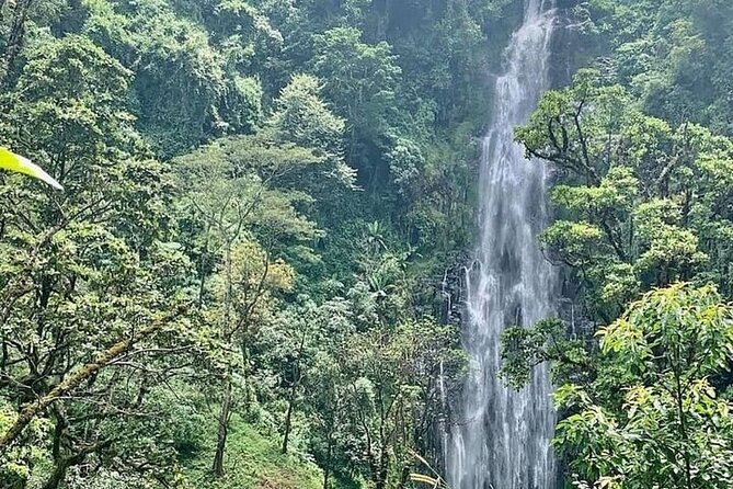 Materuni Waterfalls, Kikuletwa Chemka Hot springs, Coffee tour - Key highlights you will actually feel