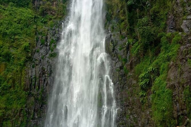 Materuni Waterfalls, Kikuletwa Chemka Hot springs, Coffee tour - Why this hot springs, waterfall, and coffee mix works