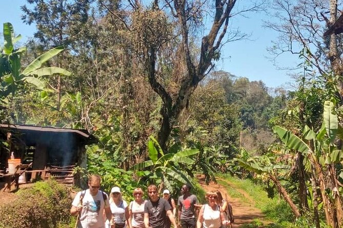 Materuni Waterfalls, Kikuletwa Chemka Hot springs, Coffee tour - Materuni Waterfalls: a rewarding walk, a cold-water payoff
