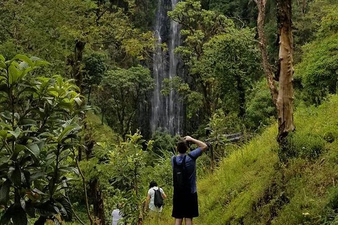 Materuni Waterfalls, Visiting Chagga Village, CoffeeTour Kikuletwa Hotsprings - The hike to Materuni Waterfalls: effort, timing, and best expectations