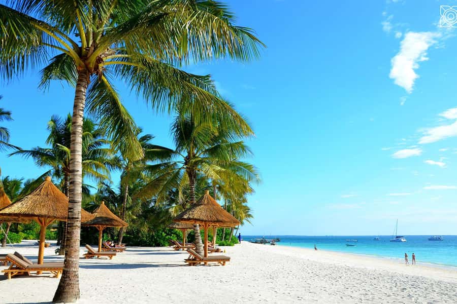 Mbudya island from Dar es salaam safari. - Snorkelling and reef access: what is included and what to confirm