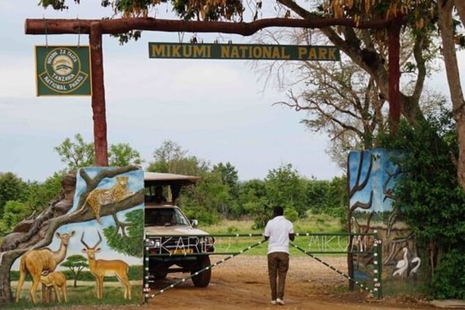 Mikumi National Park 2 Days/ 1 Night - Guides and spotting, what experience really looks like