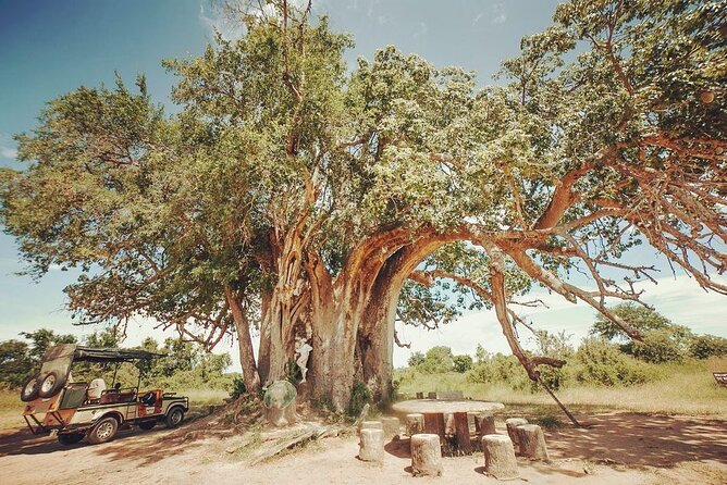 Mikumi National Park 3 Day Tour - Why Mikumi Works for a 3-Day Safari From Dar es Salaam