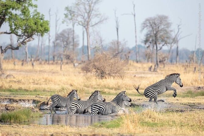 Mikumi National Park 3 Day Tour - Price and Value: Is $750 Per Person Fair?