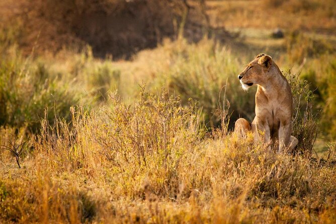MIKUMI NATIONAL PARK - 3 Days - Key Things You Should Know Before Going