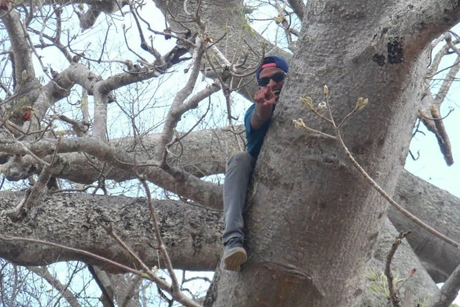 MIKUMI NATIONAL PARK - 3 Days - Pickup, Timing, and the One Risk You Should Manage