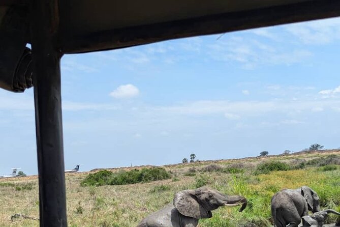 Mikumi National Park Day Trip by Train From Dar Es Salaam - Lunch, Included Fees, and the Real Meaning of Price