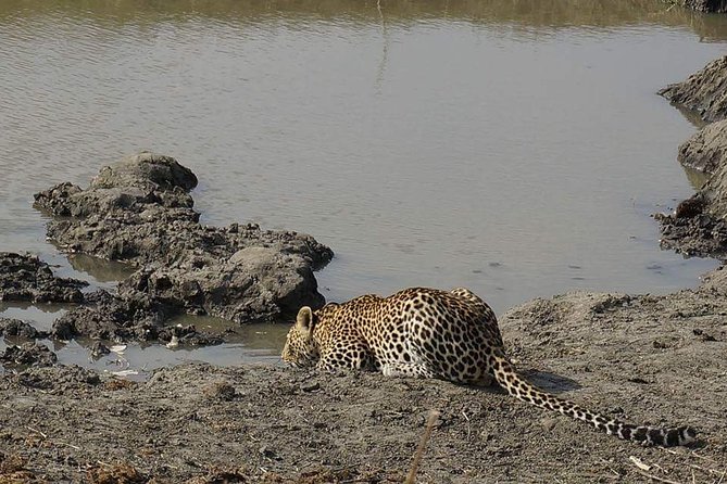 Mikumi National Park in a Day - A Day Tour from Morogoro - Key Things I’d Prioritize on This Mikumi Day Tour