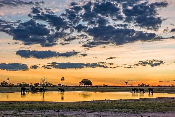 Mikumi National Park in a Day - A Day Tour from Morogoro - Wildlife Targets You Can Plan Around (Not Just Hope For)