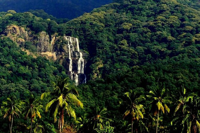 Mikumi National Park & Udzungwa Water Falls 3 Days Group Tour - Key Highlights Before You Go