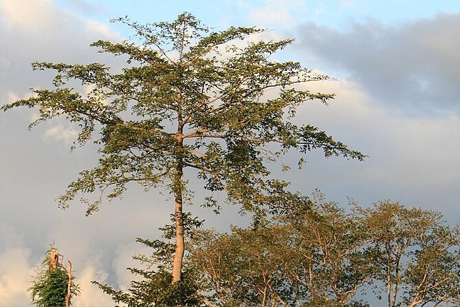 Mikumi National Park & Udzungwa Water Falls 3 Days Group Tour - Day 3 back toward Dar es Salaam, with optional Maasai village or snake park
