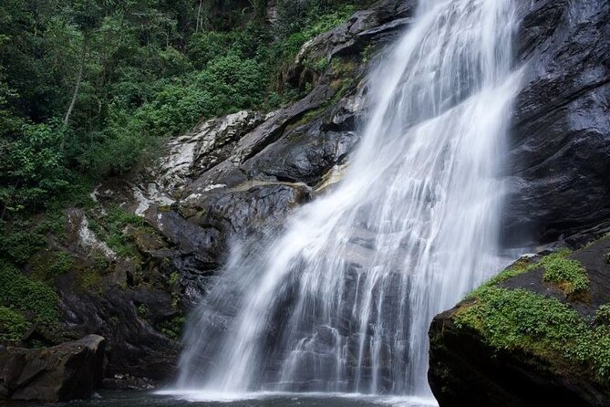 Mikumi National Park & Udzungwa Water Falls 3 Days Group Tour - Should you book this tour?