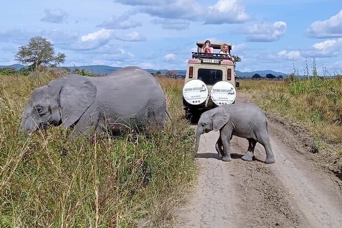 Mikumi Safari Tour: Day Trip Return Flight From Zanzibar - Key highlights to know before you go