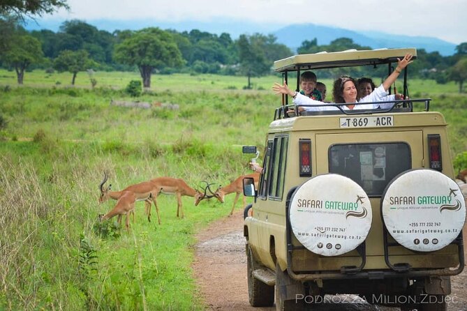 Mikumi Safari Tour: Day Trip Return Flight From Zanzibar - Lunch, Snacks, Drinks, and the Ride-Friendly Comfort