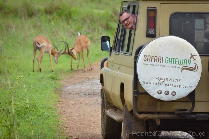 Mikumi Safari Tour: Day Trip Return Flight From Zanzibar - Timing Reality Check: Flights, Weather, and How the Day Can Shift