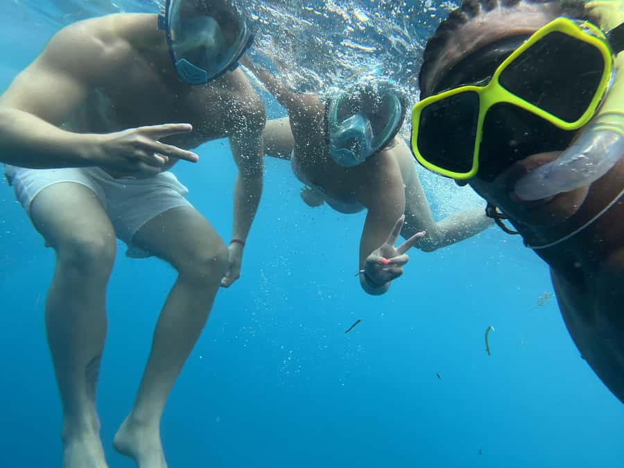 Mnemba dolphin & snorkel: from matemwe, pwani, kwingwa, Uroa - The Mnemba mix: dolphins, reef snorkeling, and a sandbank (when tides allow)