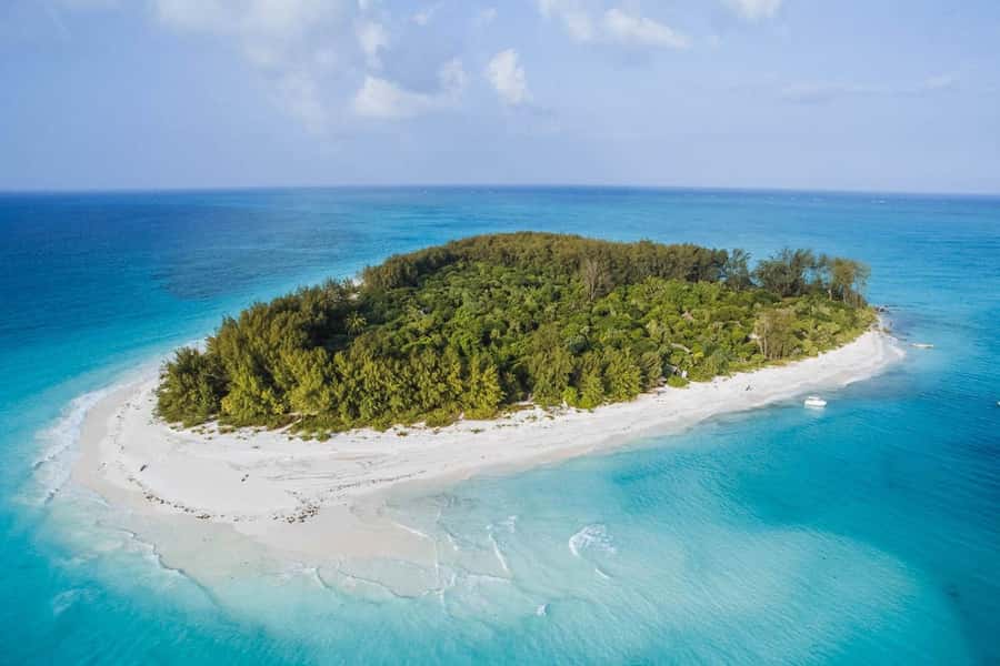 Mnemba dolphin & snorkel: from matemwe, pwani, kwingwa, Uroa - Price and value check for a 4-hour Zanzibar half-day