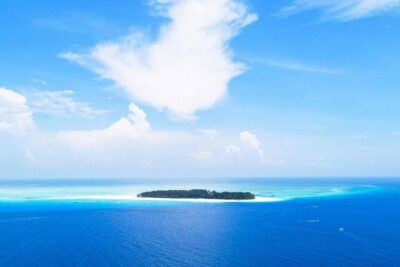 Mnemba Dolphin Tour, Clear Kayak, Cooking Class, Horse Riding