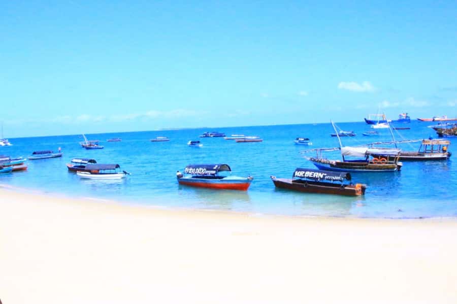 Mnemba from Kendwa & nungwi half day - The 8:30 pickup and fiber-boat ride: quick, simple, and straightforward