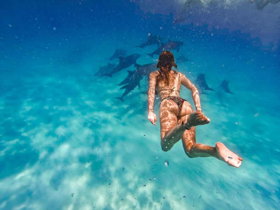 Mnemba Island: Dolphin Swim & Snorkeling with Optional Lunch - Mnemba Island for Snorkelers: Why This Half-Day Works