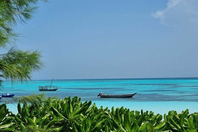 Mnemba Island Half Day Live Aquarium With Transfer - Zanzibar - Key Points Before You Go