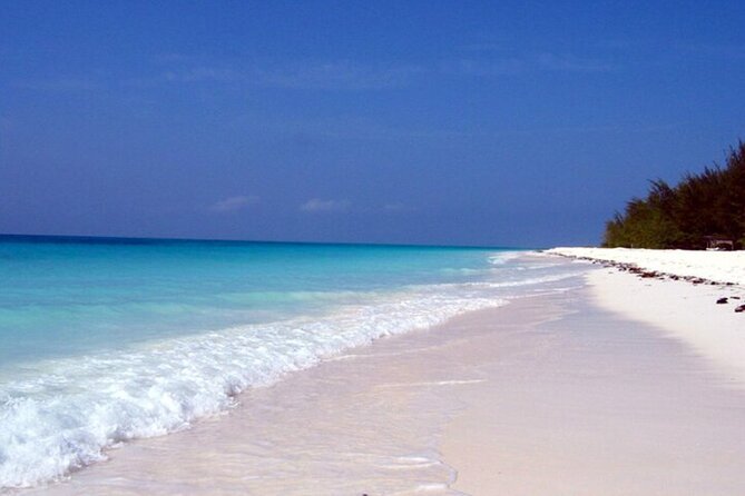 Mnemba Island Half Day Live Aquarium With Transfer - Zanzibar - The Reef Stop: Snorkel Equipment, Coral Treasures, and How to Enjoy It