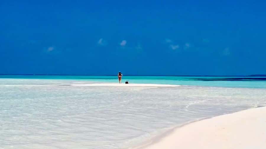 Mnemba Island, Jozani Forest, Starfish Adventure, The Rock - Starfish beach: a calm stop that works for kids and adults