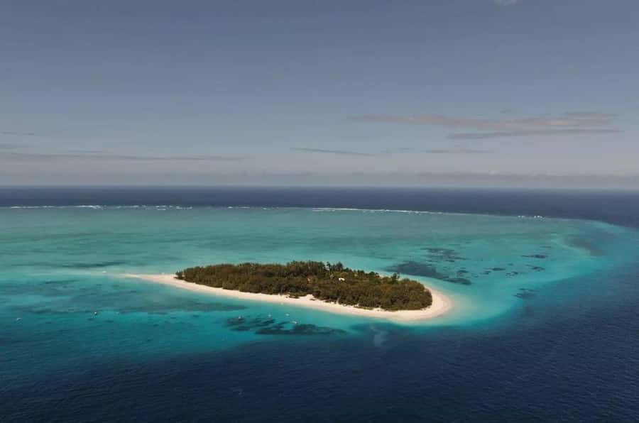 Mnemba Island, Prison Island, Secret Garden, Jozani Forest - Key highlights to know before you go