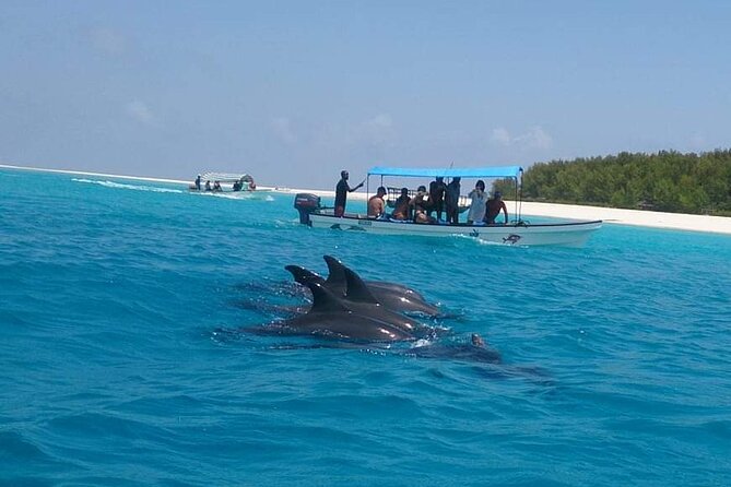 Mnemba Island snorkeling and Swimming with Dolphin - The sandbank stop: paradise, but only when the tide cooperates