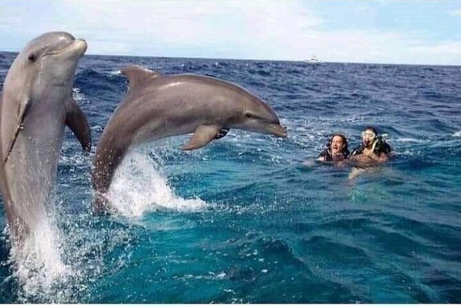 Mnemba Island snorkeling and Swimming with Dolphin - Pickup and getting to the boat without stress
