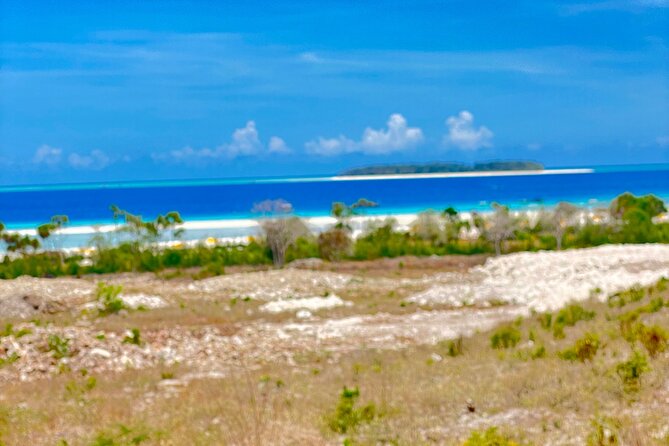 Mnemba island snorkeling tour - Hotel pickup and drop-off: the real comfort value