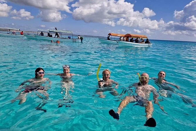 Mnemba island snorkeling tour - Wildlife watching that rewards patience