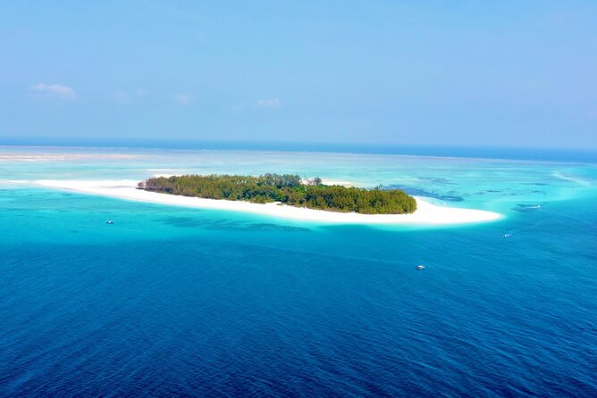 Mnemba island snorkeling tour - Timing the day: 8:00 am, plus a sea-tide departure